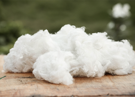 Alternative-Down-Fibernew Alternative-Down-Fibernew